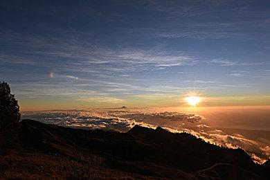 动视暴雪CEO Bobby Kotick将退出可口可乐董事会